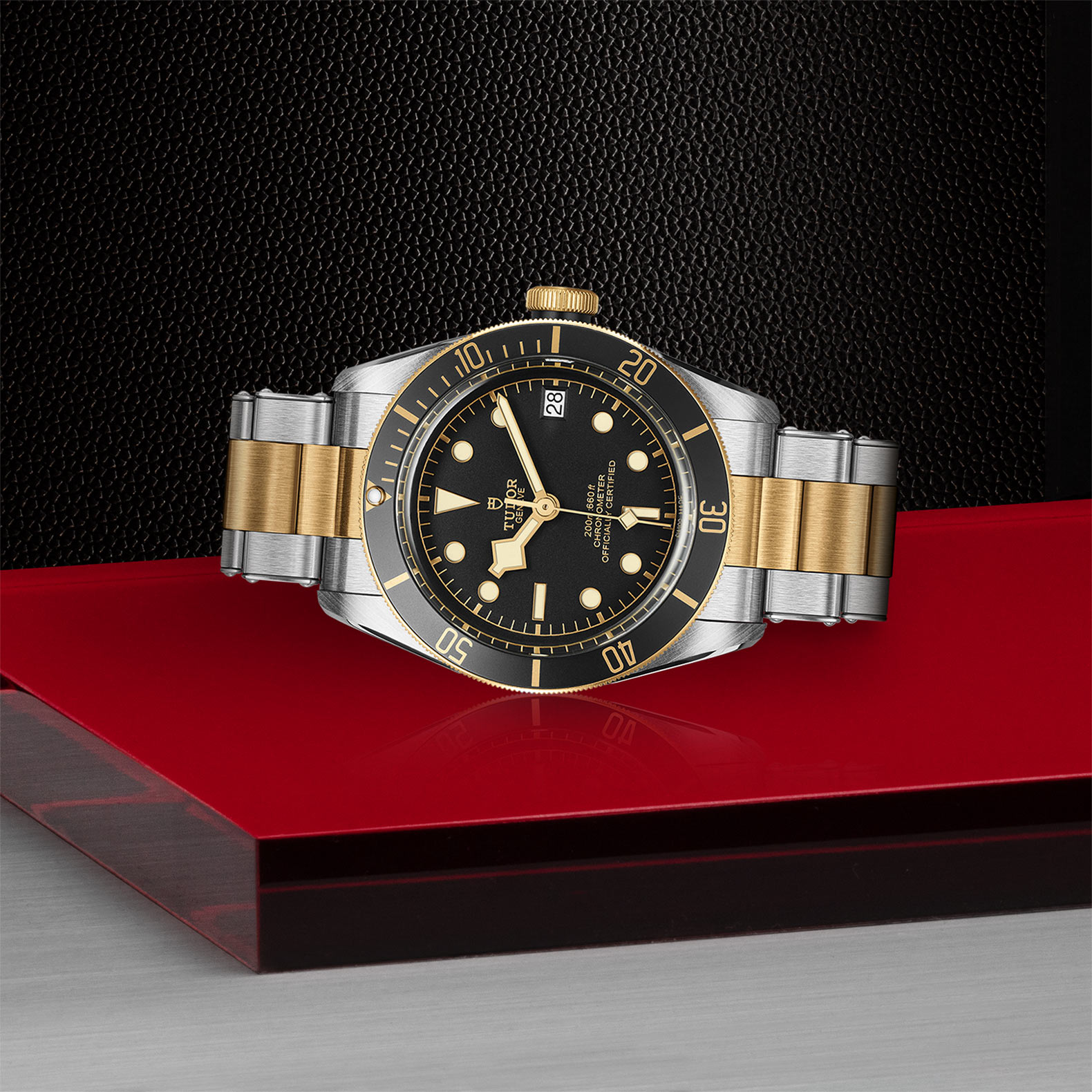 M79733N-0008 | Black Bay | Watches | Tudor | Brand | Oriental Watch Company  Online Store